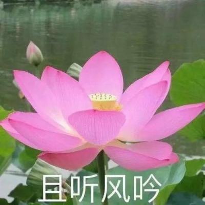 烽火之下手游下载